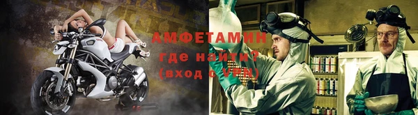 ГАЛЛЮЦИНОГЕННЫЕ ГРИБЫ Богданович